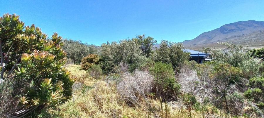 0 Bedroom Property for Sale in Pringle Bay Western Cape